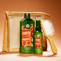 Set Haircare Riparazione