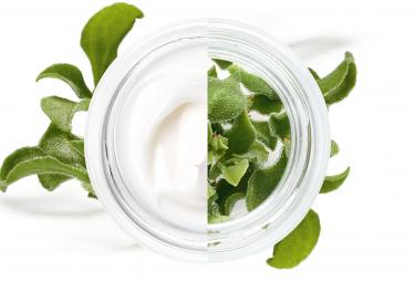 Cosmetique Vegetal