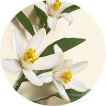 neroli